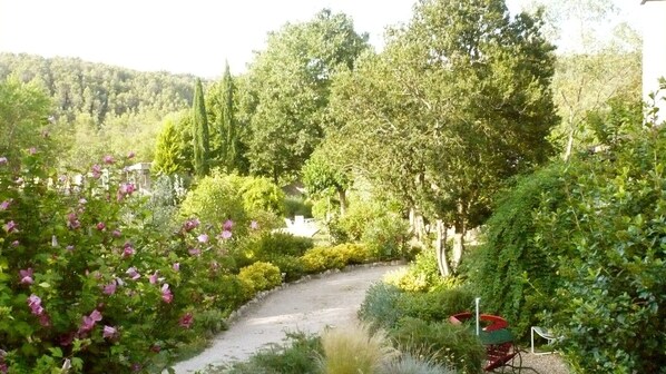 المنطقة المحيطة بالمنشأة