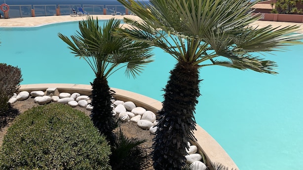 Uma piscina com palmeiras e vista para o oceano.