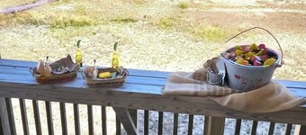 OCEANFRONT! LINENS PROVIDED!  COMPLIMENTARY AMENITIES! GUEST FAVORITE!