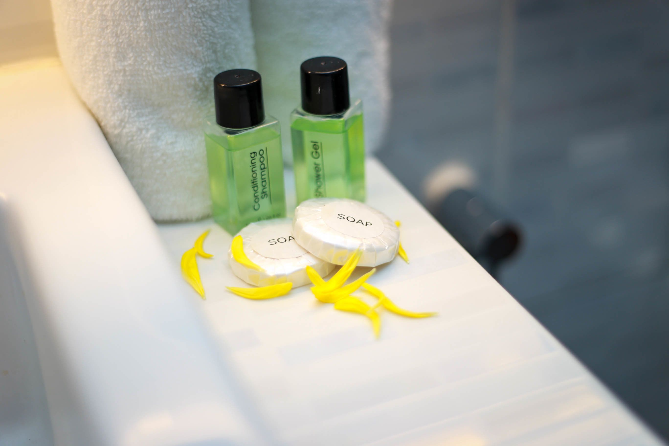 shower, free toiletries, hair dryer, slippers