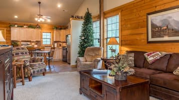 TV, fireplace, DVD player, books