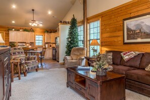 Televisio, takka, DVD-soitin, kirjoja