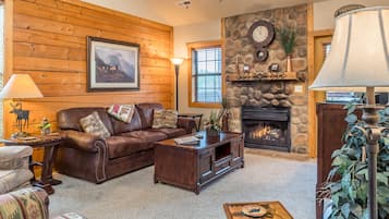 TV, fireplace, DVD player, books