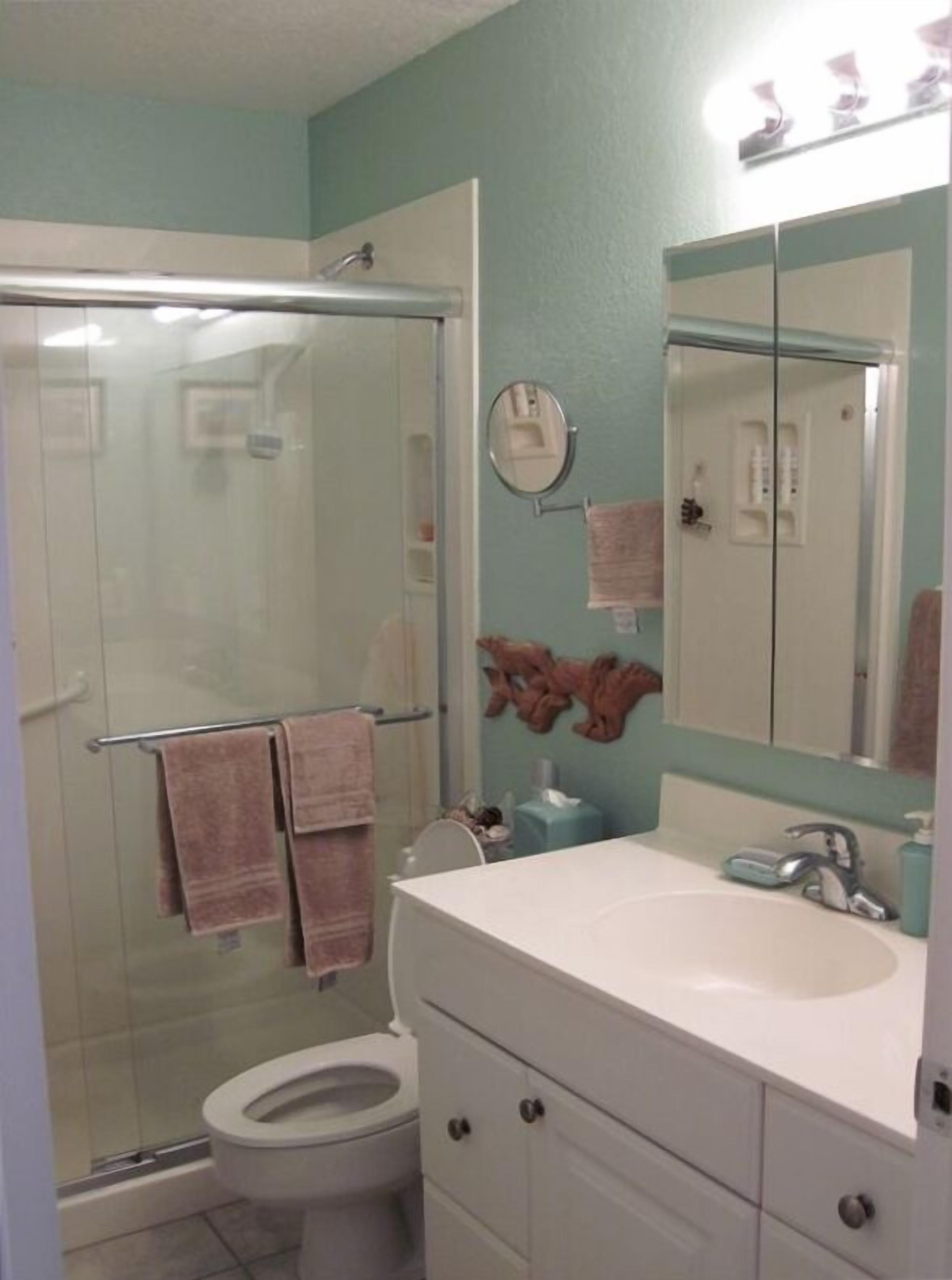 Une salle de bain avec une douche à parois de verre, des toilettes, un lavabo avec un miroir et un porte-serviettes.