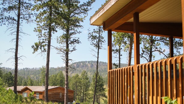 A wooden cabin with a porch, surrounded by tall pine trees and a mountain in the background. - Ponderosa Cabin with Private Hot Tub - Near Mt Rushmore and Hills Attractions (Custer)