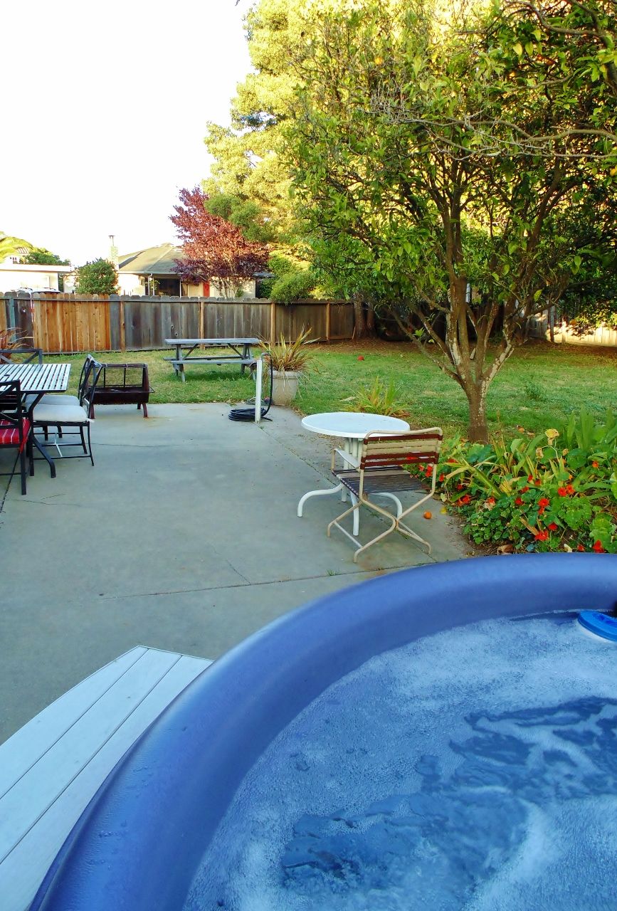 Un jardin avec un jacuzzi, une table de pique-nique et des sièges d’extérieur.