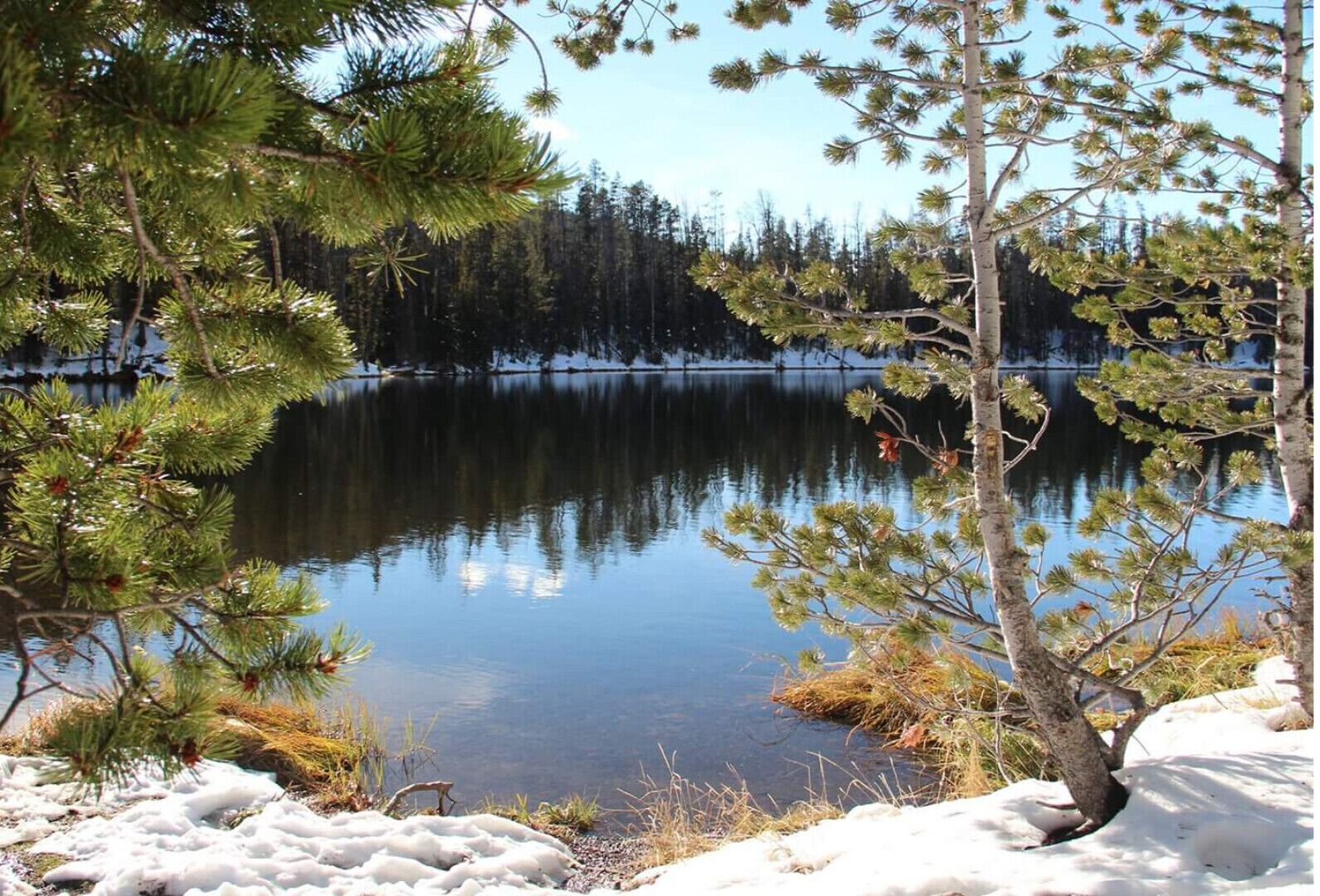 A serene lake surrounded by trees and snow.