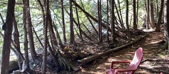 Ren, ny miljøvennlig leir: Hidden Treasure on Golden Pond