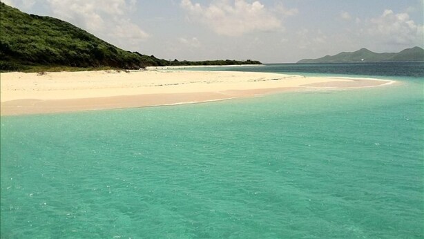 Une plage aux eaux turquoise et limpides, bordée d’un rivage sablonneux.