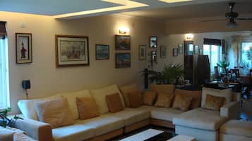 电视、DVD 播放器、乒乓球、书