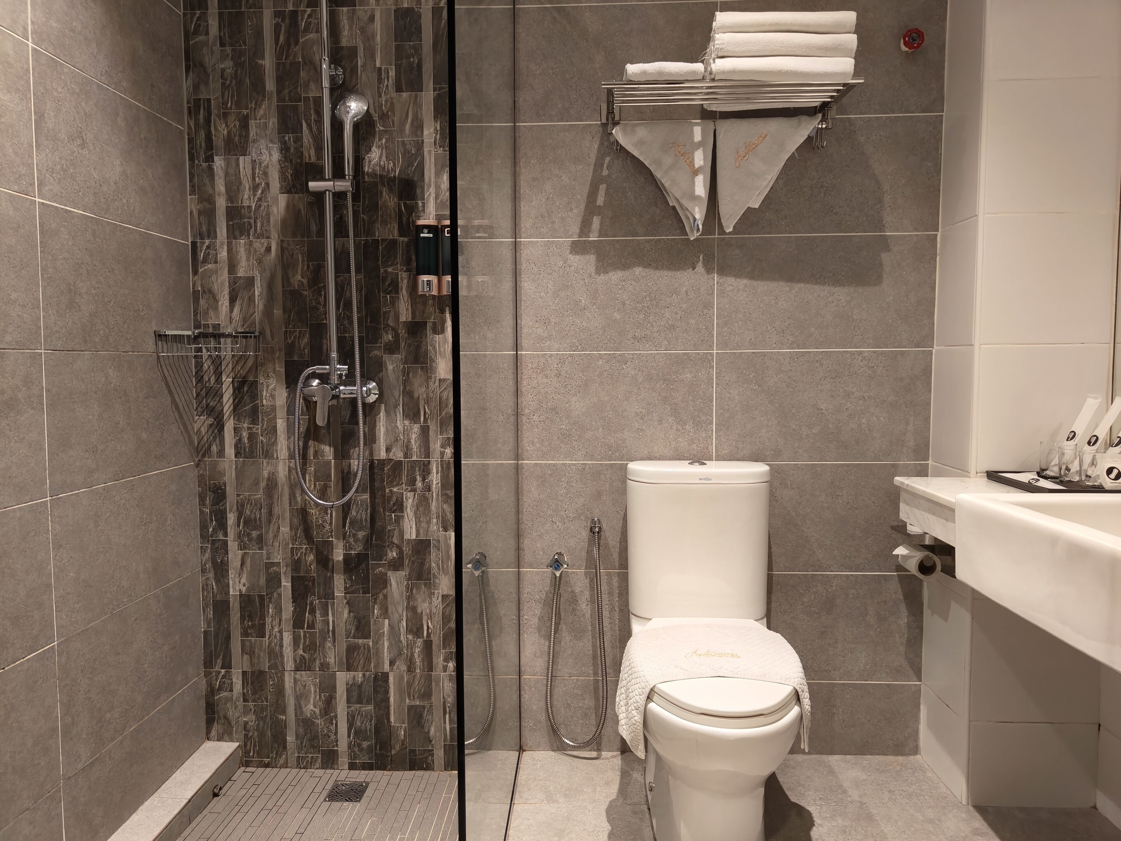 A modern bathroom with a glass-enclosed shower, a toilet, and a sink.