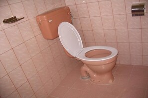 Standard Room | Bathroom | Shower, free toiletries, towels