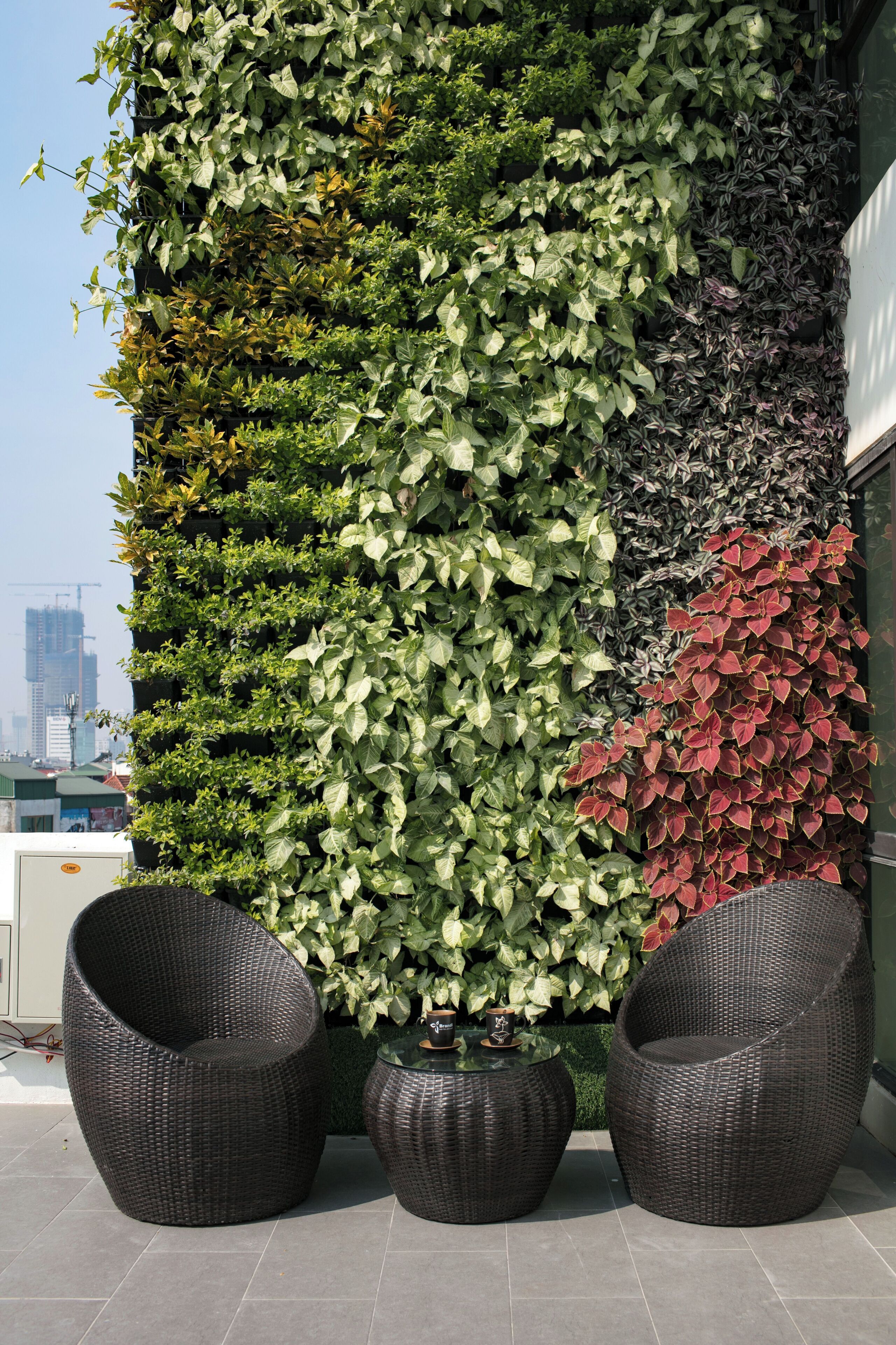 brandi fuji suite  | garden view