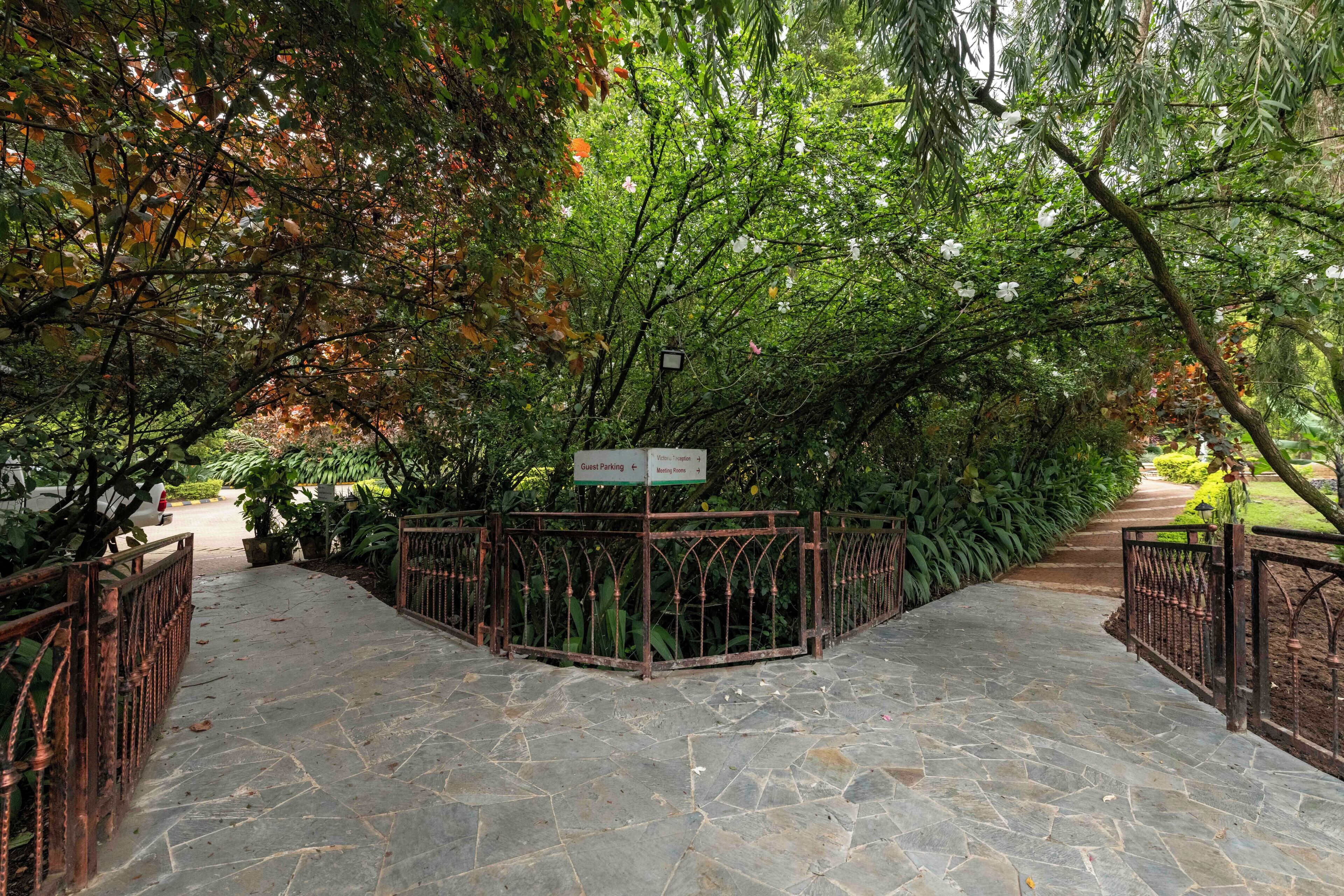 garden