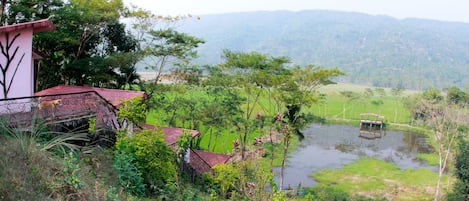 Lac