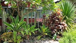 A lush garden with various tropical plants, a tree with hanging moss, and a building in the background. - Pakdee House (Udon Thani)