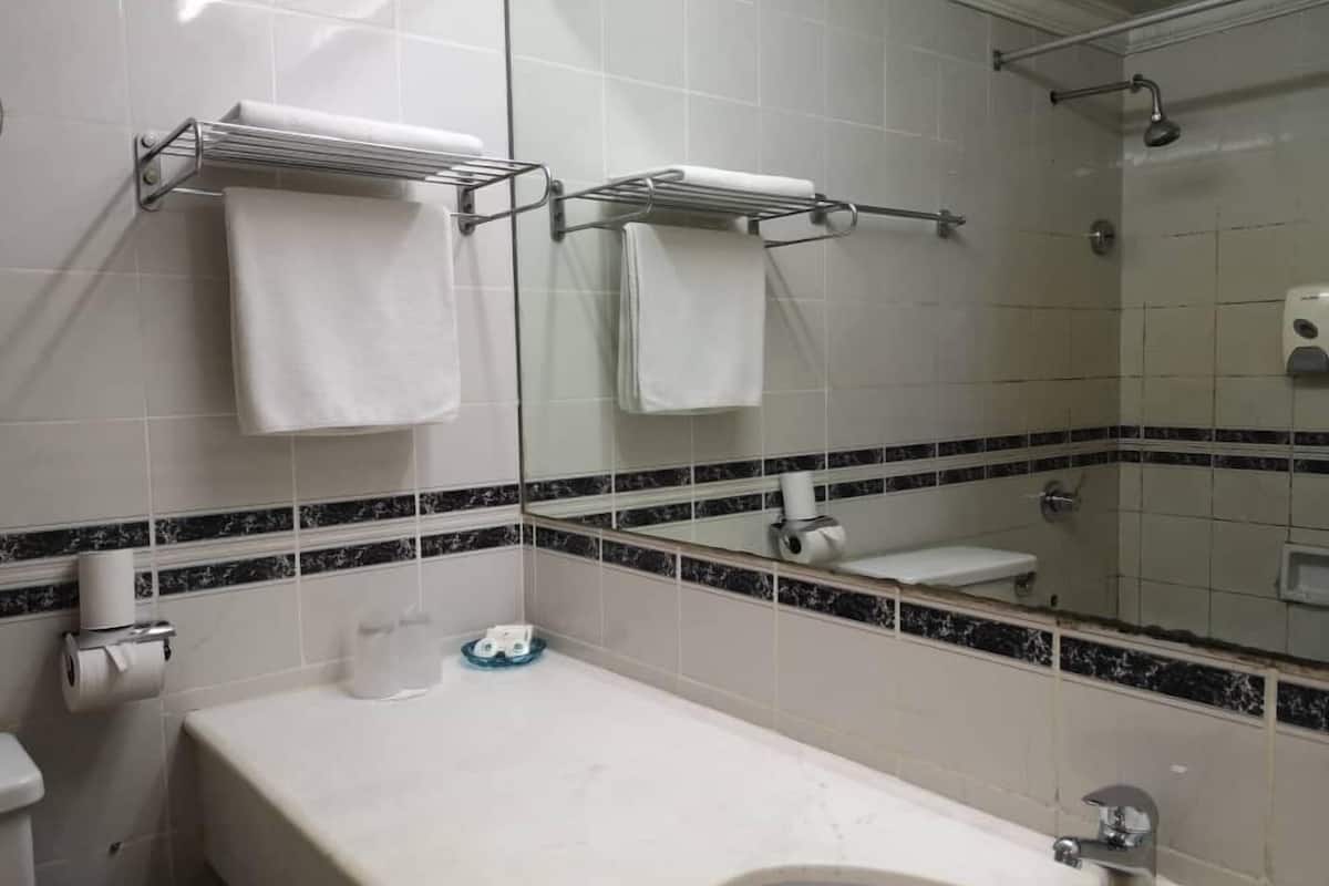 shower, free toiletries, hair dryer, towels