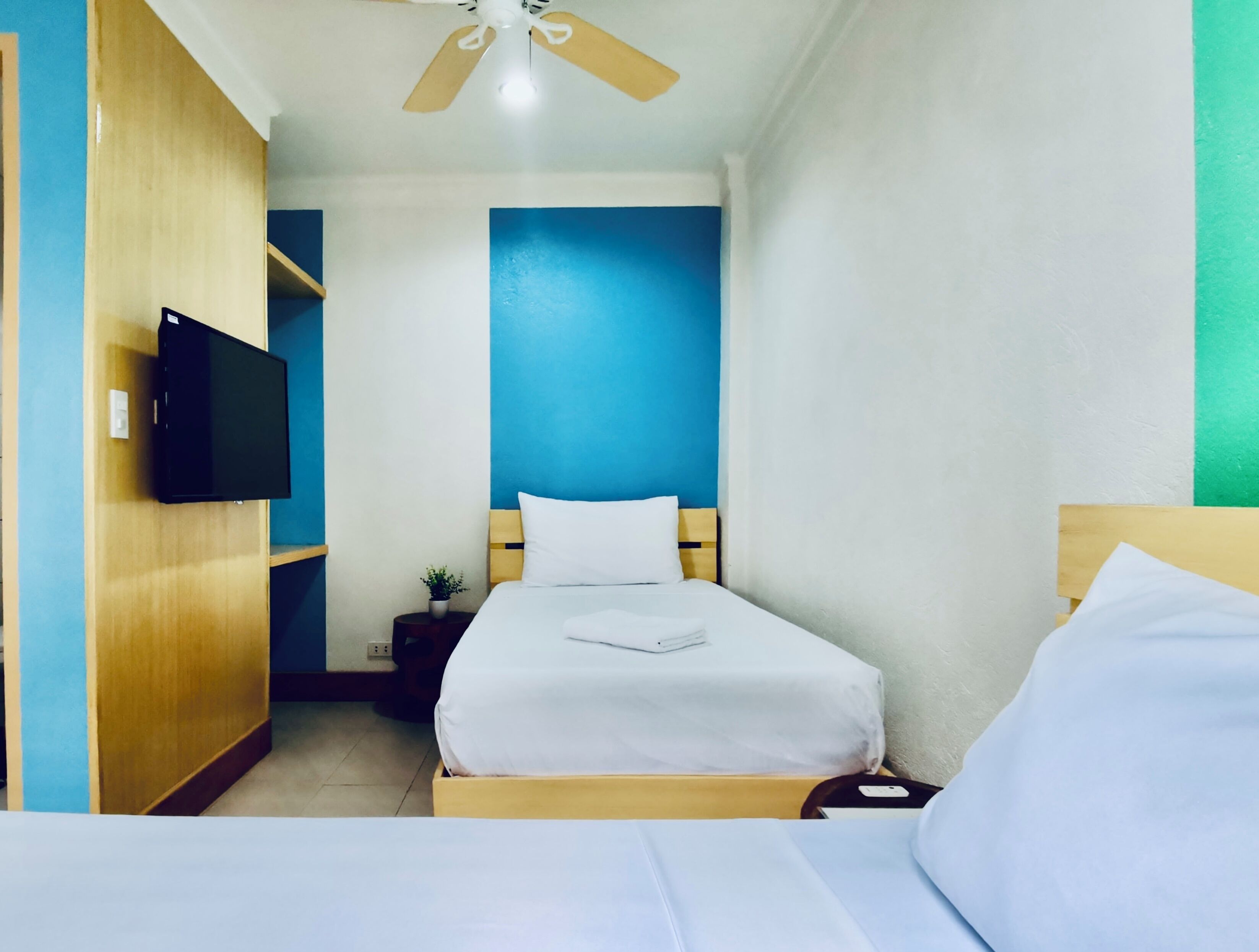 Habitación de hotel con cama, ventilador de techo, televisor montado en la pared y una planta pequeña en maceta.