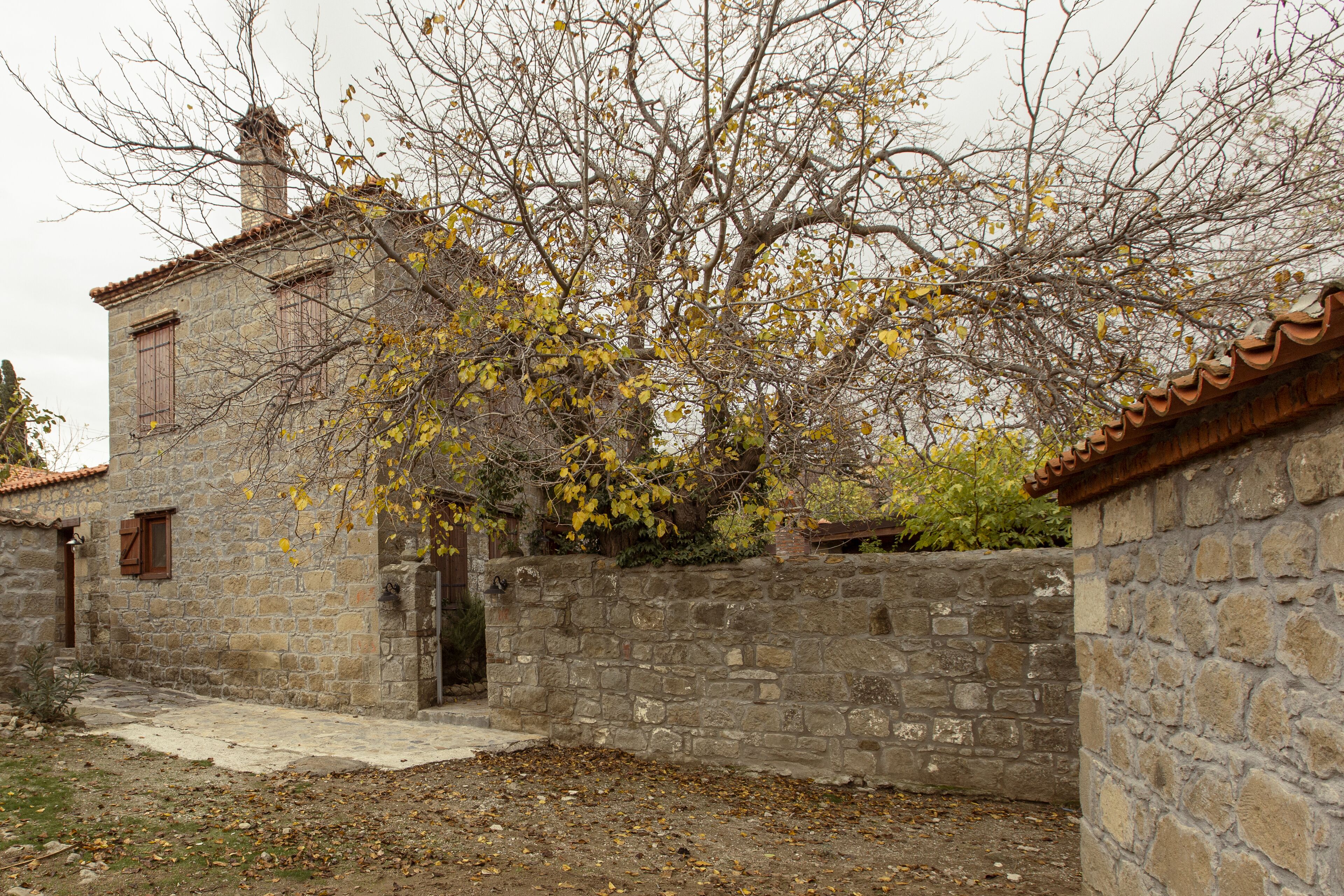 royal chalet | terrace/patio
