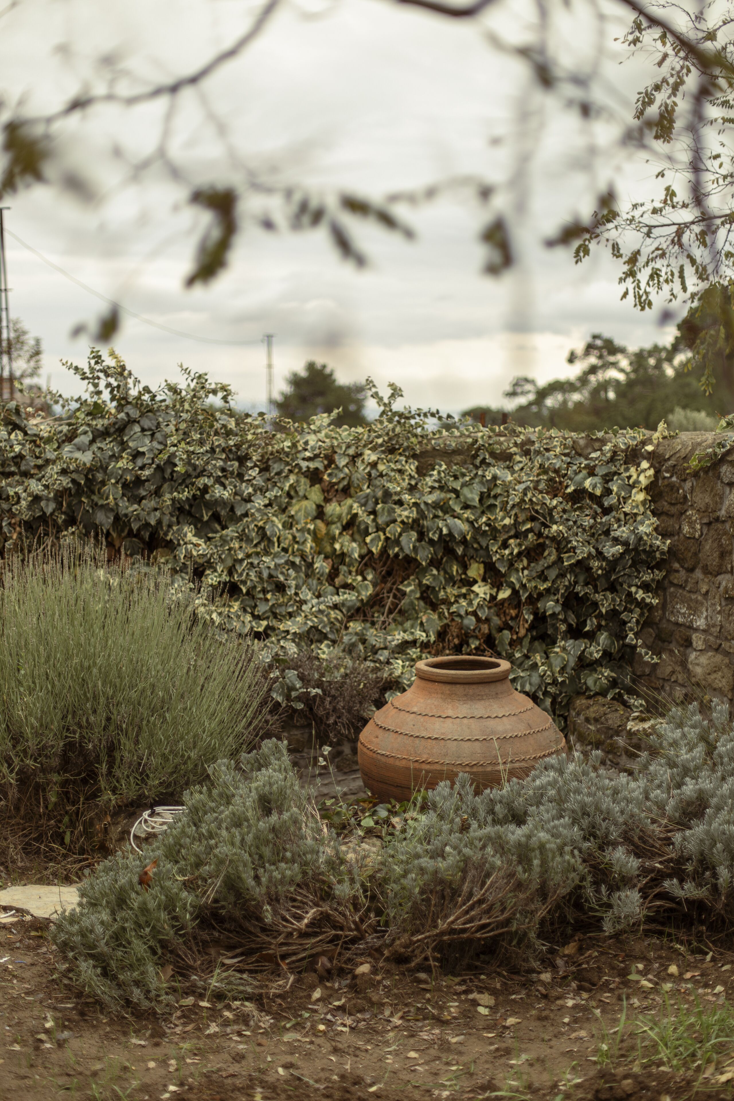 royal chalet | garden view