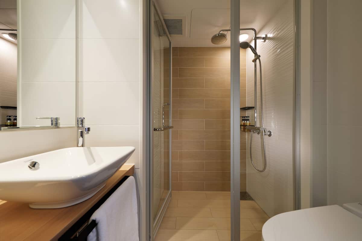 shower, free toiletries, hair dryer, slippers