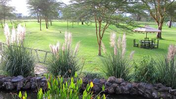 A serene outdoor area with a pond, grassy lawn, and a picnic table with an umbrella.
