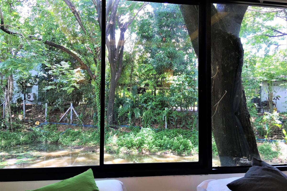 Quarto com uma grande janela que dá para um jardim exuberante com árvores e lago.