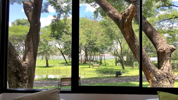 Una habitación con un amplio ventanal que da a un parque con árboles y un estanque. Hay dos camas con almohadas.