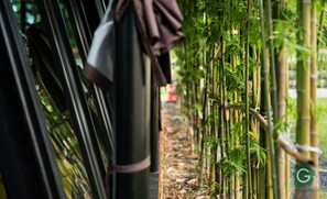 Coffee shop - Green At Buriram (Buriram)