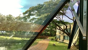Vista a través de una ventana de un edificio con un camino que lleva a un área verde y una banca.
