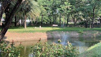 Garden View | Vista giardino