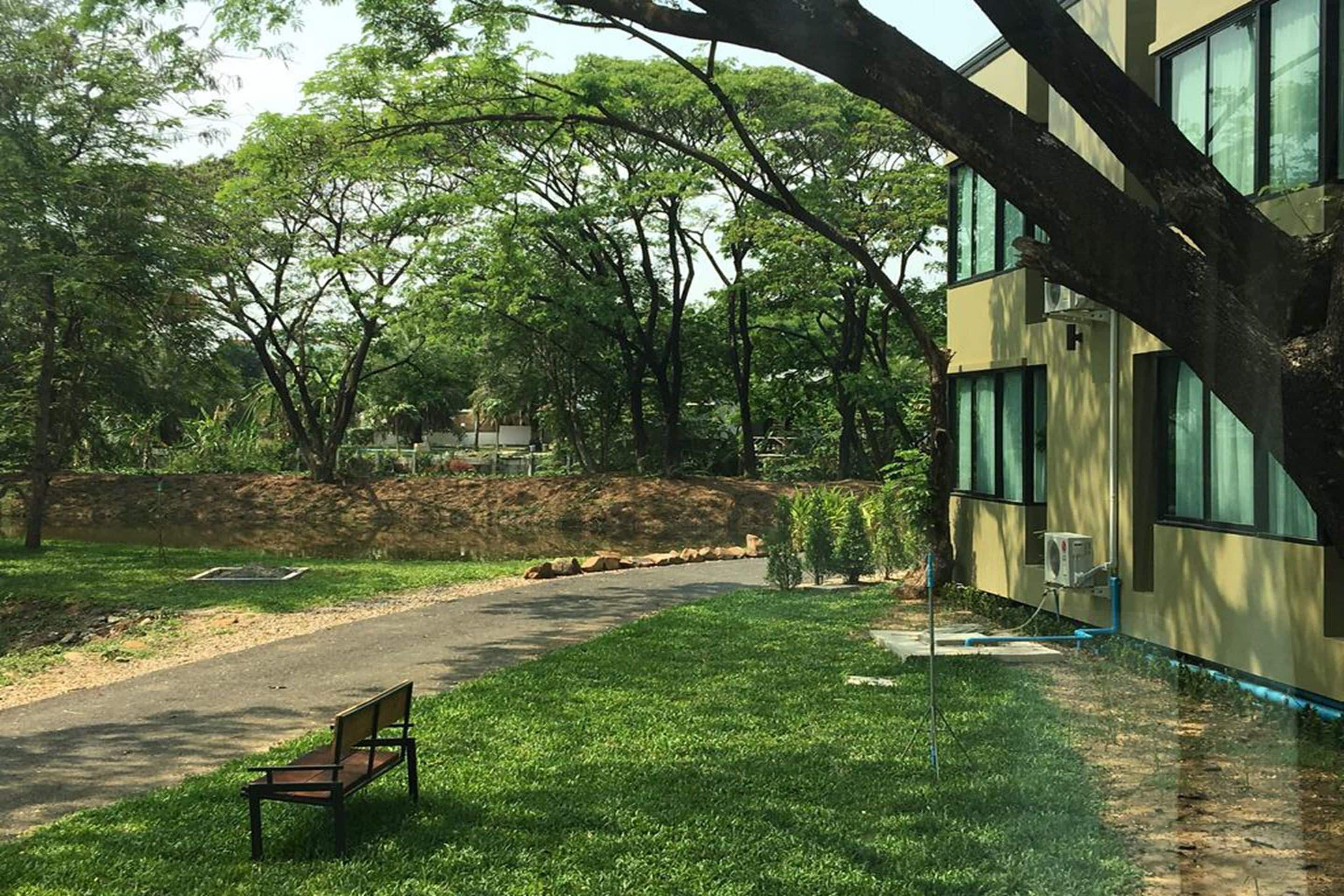 Garden View  | 客房景观