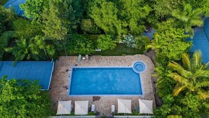 Vista aérea de una piscina rectangular rodeada de exuberante follaje y palmeras.