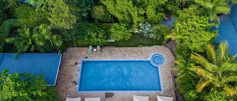An aerial view of a rectangular swimming pool surrounded by lush greenery and palm trees.
