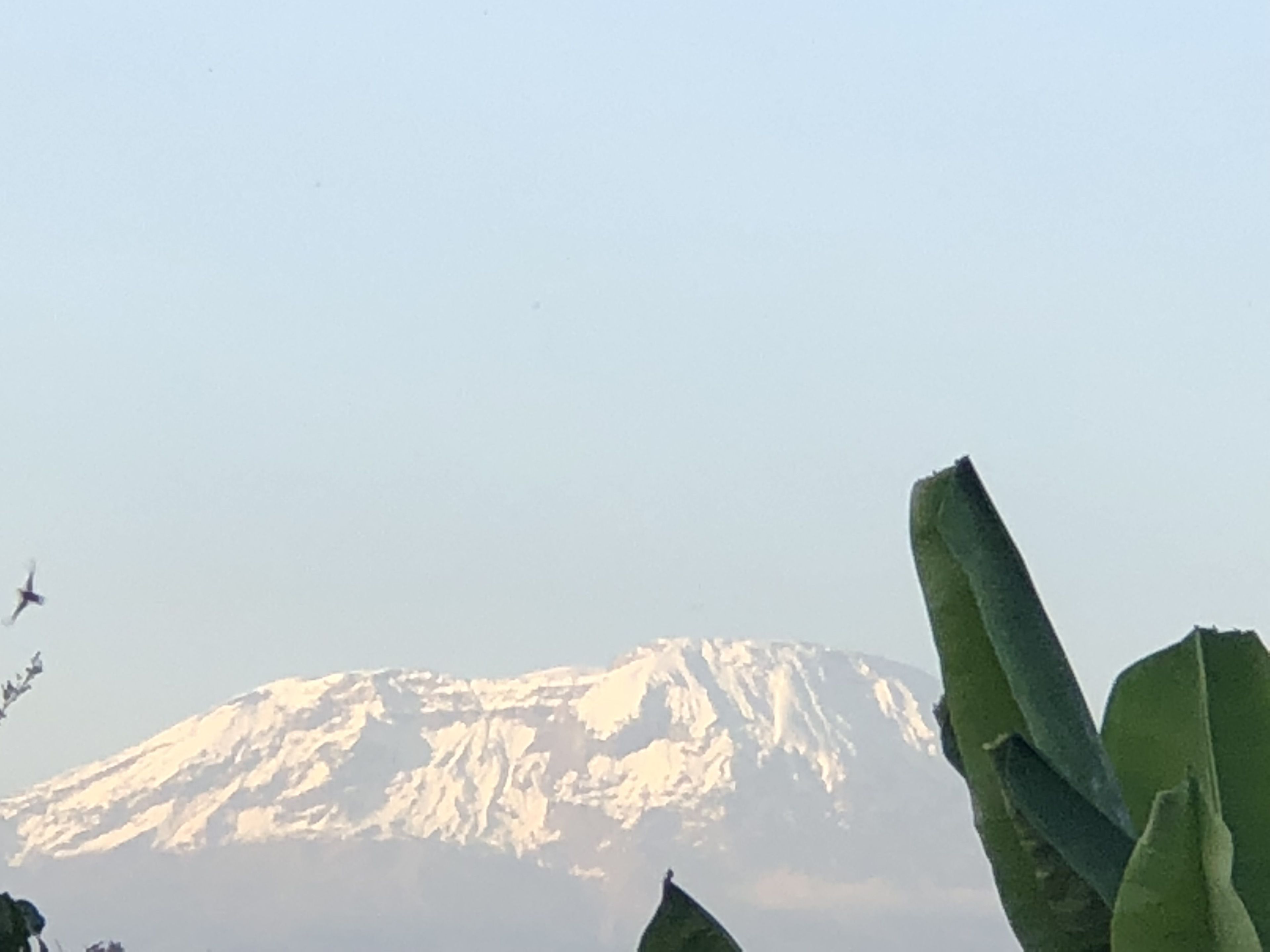A mountain with snow-covered peaks and a clear sky.