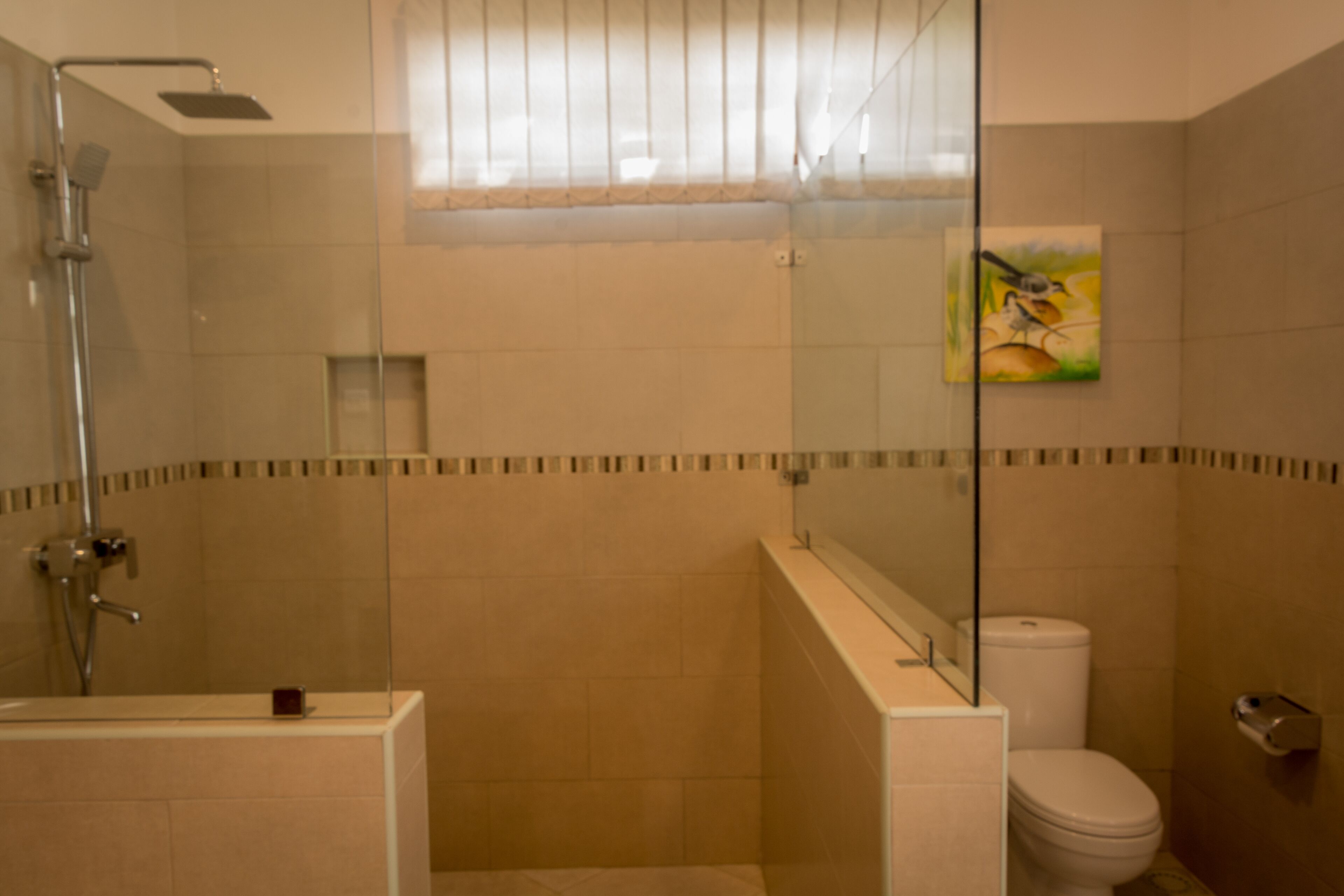 A modern bathroom with a glass shower enclosure, a toilet, and a small sink.