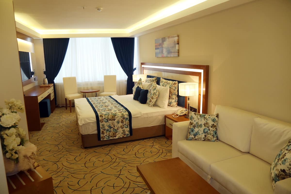 A hotel room with a bed, a sofa, a desk, and a chair.