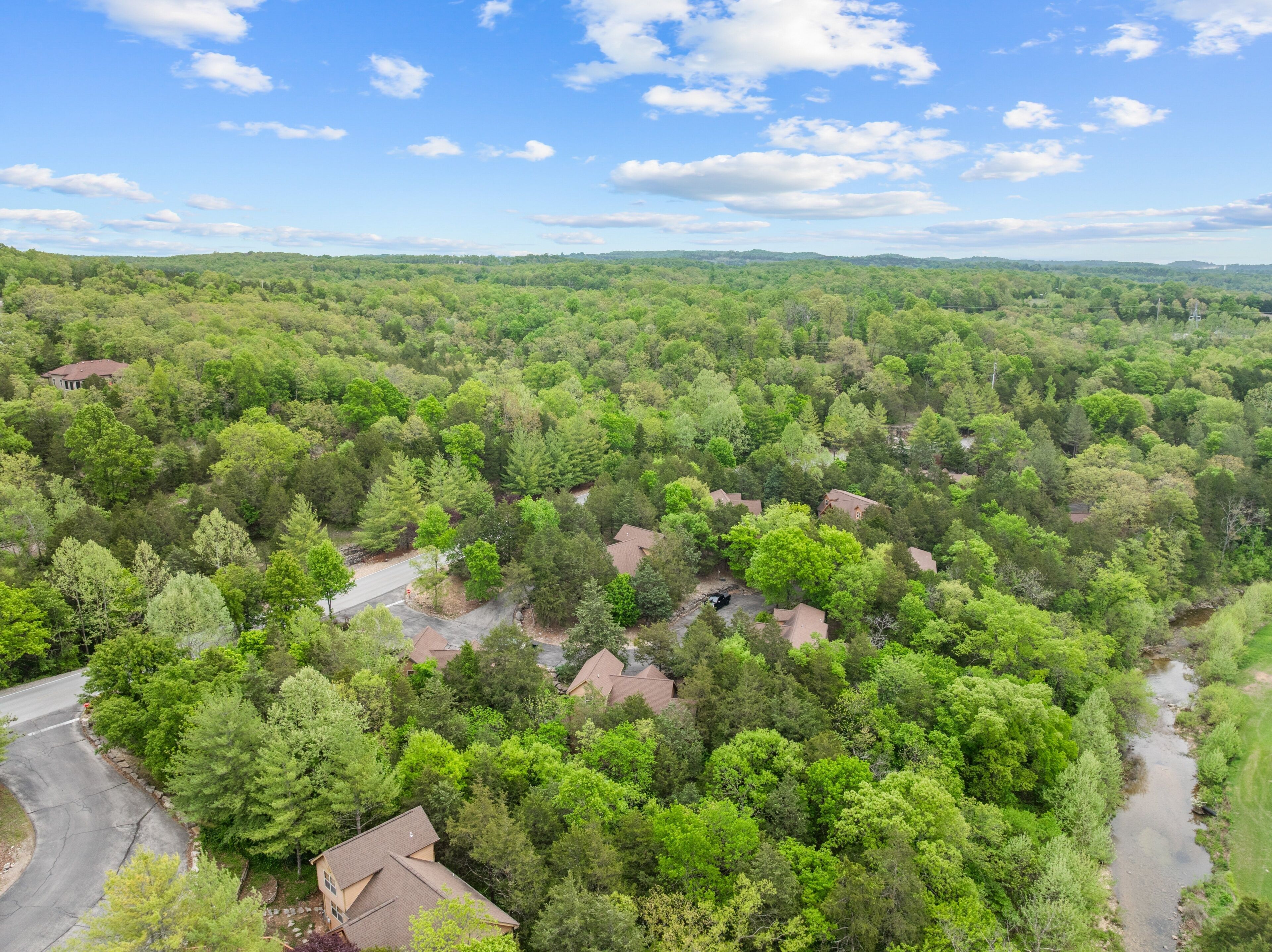 Un quartier résidentiel où les maisons sont entourées d’arbres verdoyants et où le ciel est dégagé.