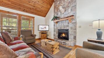 Smart TV, chimenea, reproductor de DVD