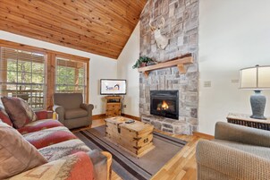 Smart TV, chimenea, reproductor de DVD