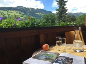Balcony view - Apartment Anita (Westendorf)