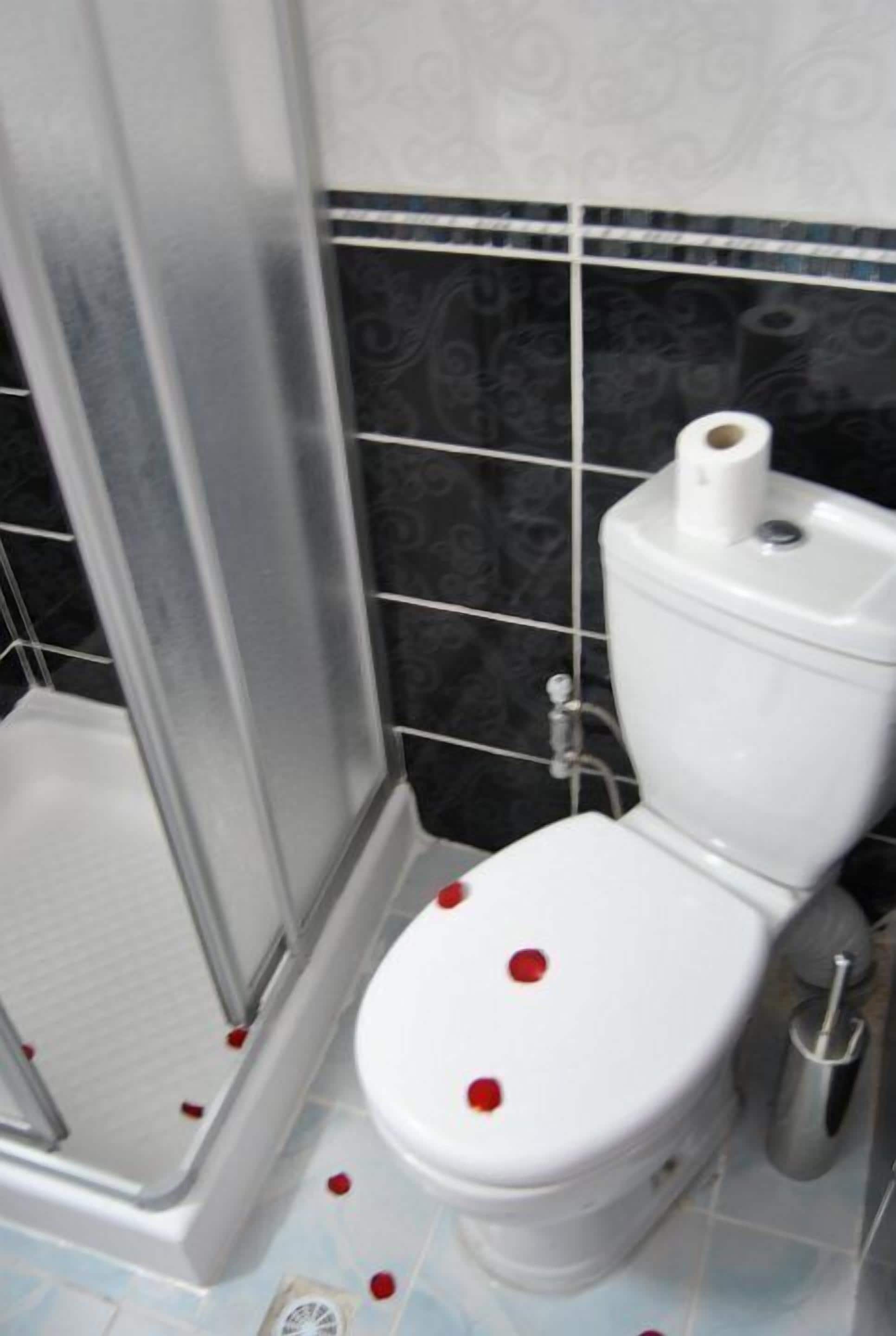 Foto - Hotel Star Park