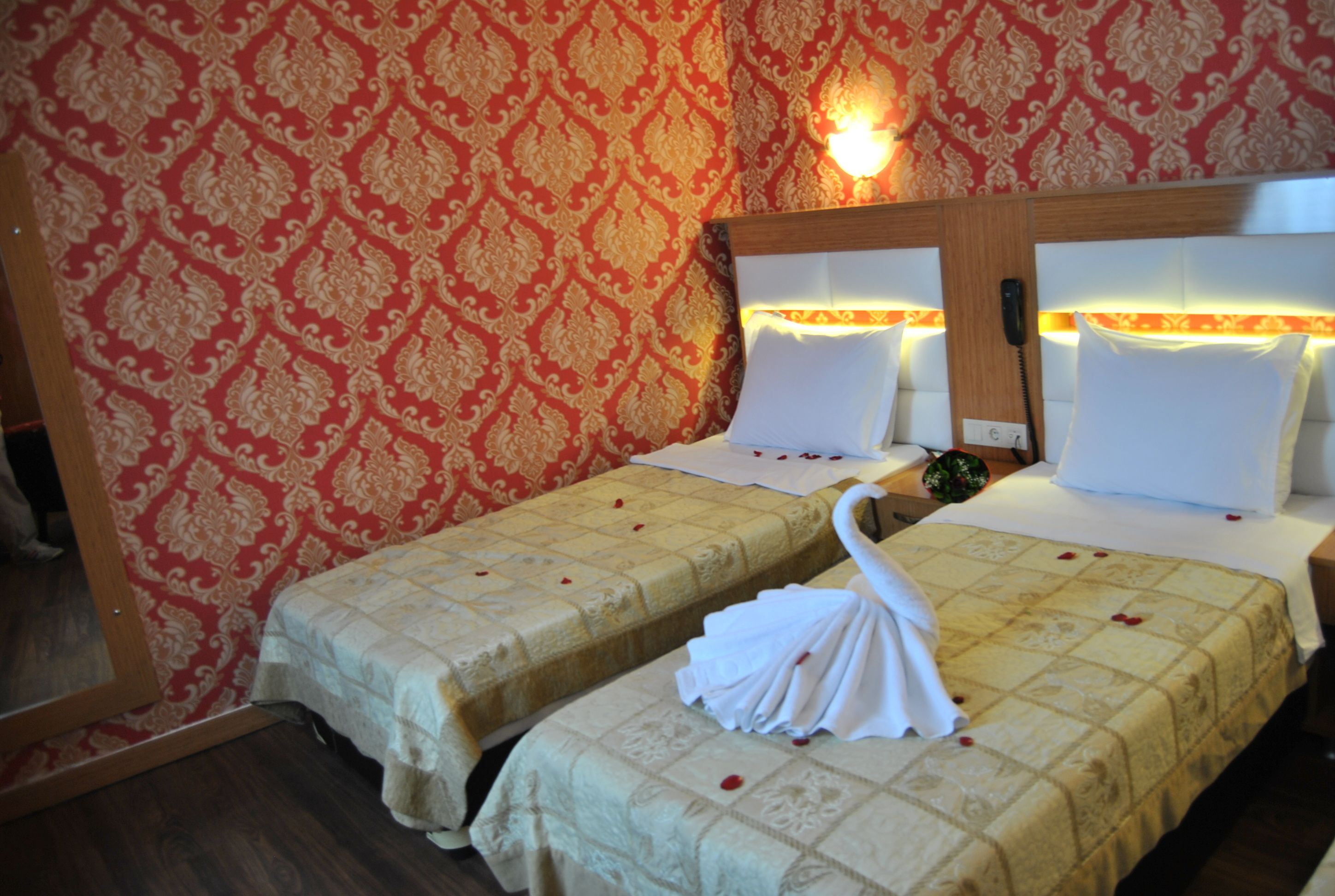 Foto - Hotel Star Park