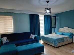 Standard Studio, 1 Double Bed with Sofa bed