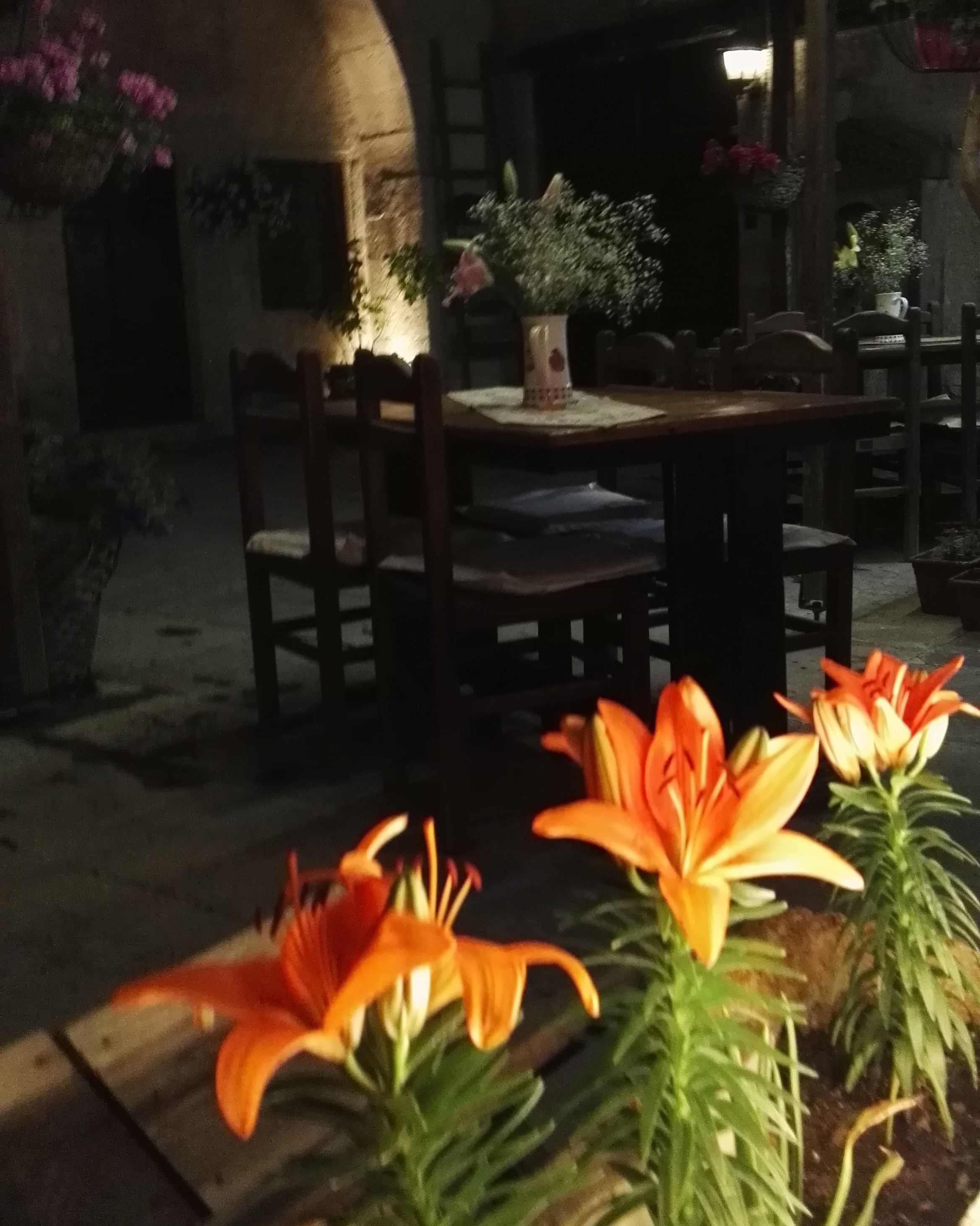 A dimly lit outdoor dining area with a table and chairs, surrounded by potted plants and flowers.