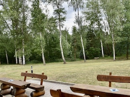 Un espacio para picnic con bancos de madera y un camino pavimentado, rodeado de árboles altos.