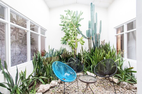 A patio area with two chairs, a table, and various cacti and plants.