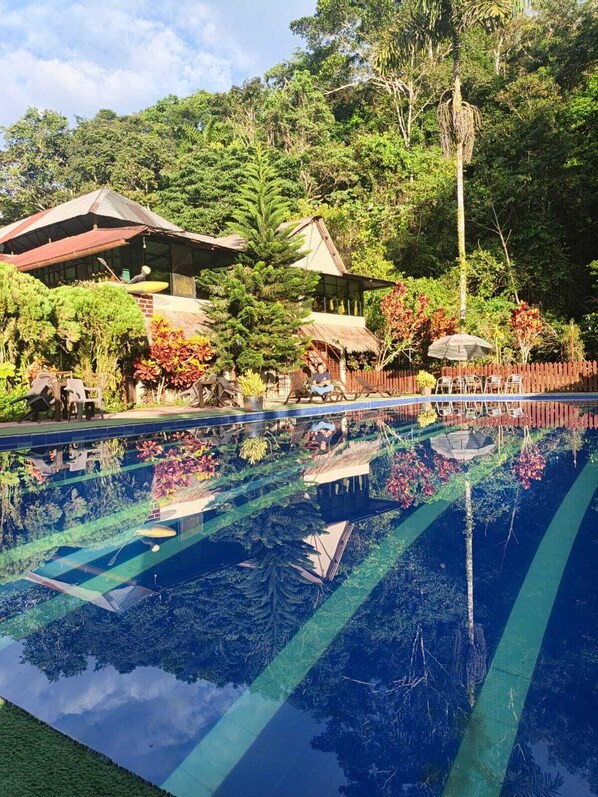 Una piscina con el reflejo de árboles circundantes y un edificio con techo de paja.