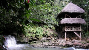 A thatched-roof hut with a wooden staircase leading up to it, situated beside a flowing stream with a waterfall in the background. - Grand Selva Lodge & Tours (Ahuano)