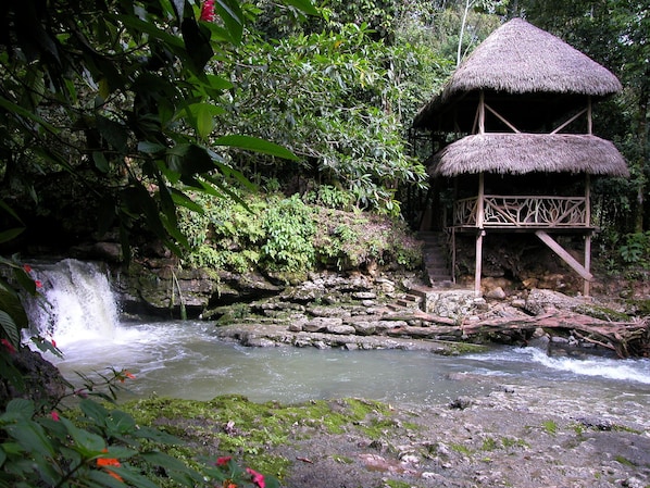 Exterior - Grand Selva Lodge & Tours (Ahuano)